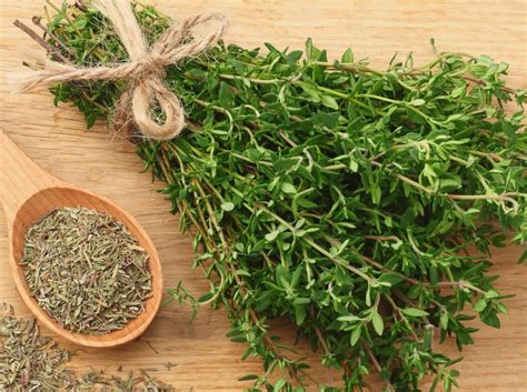1 Tsp Fresh Thyme Equals How Much Dried Thyme Storables