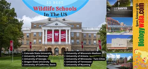 10 The Best Wildlife Biology Schools In The Us Biologywala Com By