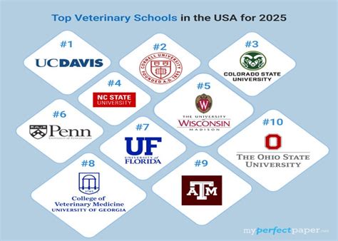 11 Easiest Vet Schools To Get Into Updated For 2026
