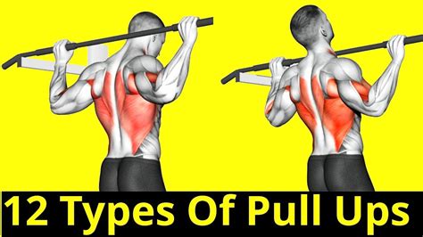 12 Different Types Of Pull Ups Beginner To Pro Variations Youtube