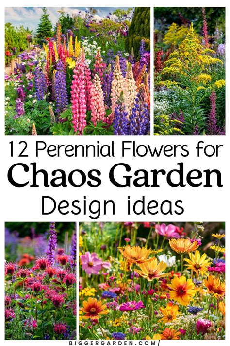 12 Perennial Flowers For A Chaos Garden Bigger Garden