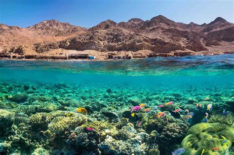 12 Surprising Facts About Red Dawn