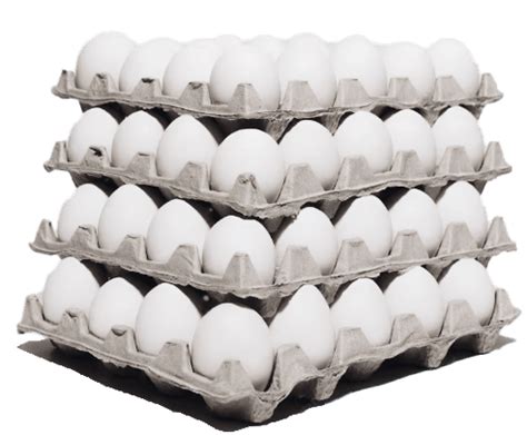 15 Dozen Eggs