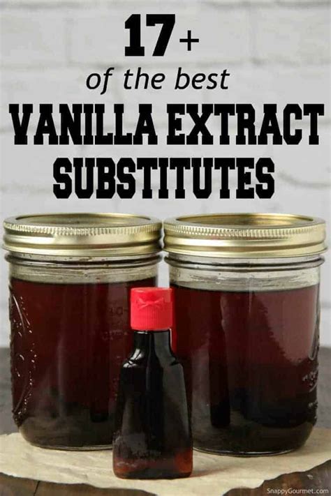 17 Best Vanilla Extract Substitutes Snappy Gourmet