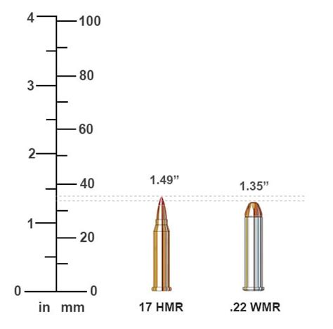 17 Hmr Vs 22 Wmr Ballistics Performance Comparison Sportsman S Warehouse