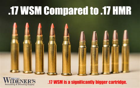 17 Wsm The Fastest Rimfire Explained