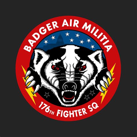 176 Fs Badger Air Militia Patch 176 Fs Badger Air Militia Patch