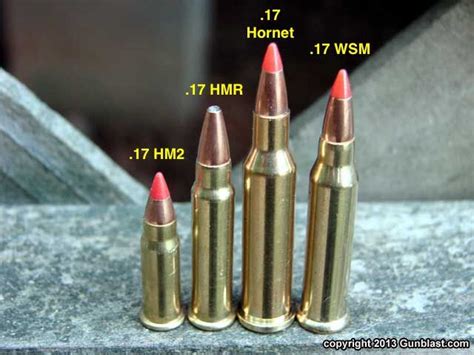 17Hmr Vs 17Wsm Vs 17 Hornet 17Hmr Vs 17Wsm Vs 17 Hornet