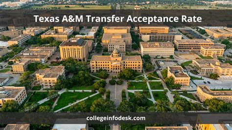 2022 23 Texas A Amp M Transfer Acceptance Rate Requirements And