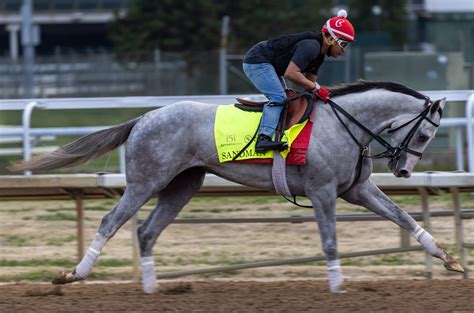 2025 Nashville Derby Results Winner Finish Order Draftkings Network 2025 Nashville Derby Results Winner Finish Order Draftkings Network
