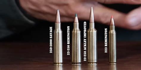 22 250 Vs 223 Remington Which Is The Best Coyote Caliber