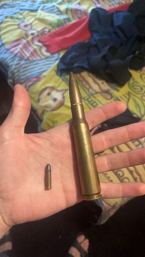 22 Round Vs 50 Cal Round R Mildlyinteresting