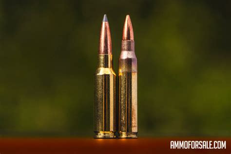 223 Vs 6 5 Creedmoor Is Creedmoor Worth Ii