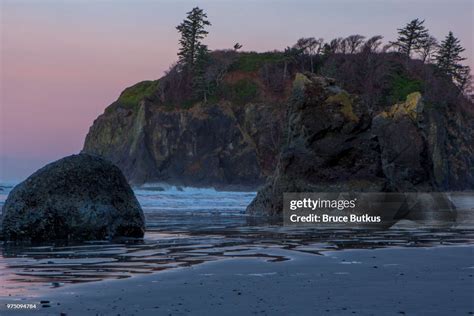 26 Photos High Res Pictures Getty Images