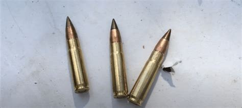 300 Ham R Modern Sporting Rifle Evolution 300 Ham R Modern Sporting Rifle Evolution