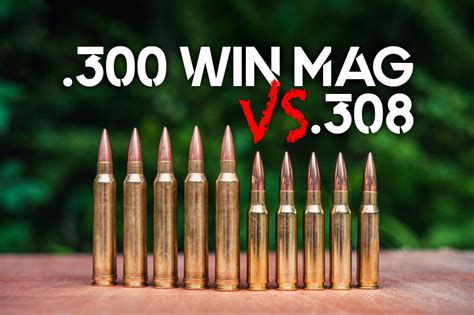 300 Win Mag Vs 308 Win 2025 Ammo Comparison
