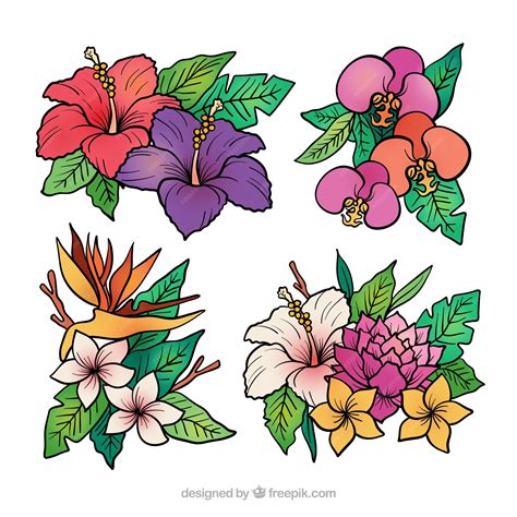 35 Tropical Flower Tattoo High Res Illustrations Getty Images 35 Tropical Flower Tattoo High Res Illustrations Getty Images