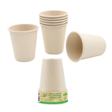 370Ml Biodegradable Disposable Cups Catering Party Coffee Tea Drinking