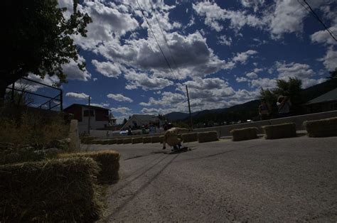 41 Cribb Bomb Striker Tales Flatspot Longboards Coast Longboarding