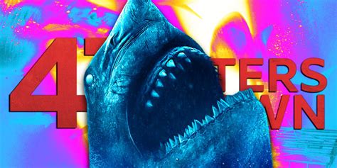 47 Meters Down Is Getting Another Sequel Plot Details Revealed