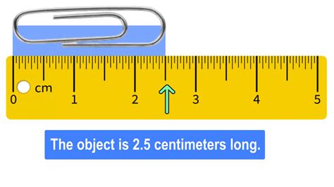 Convert 5 cm to Inches Instantly