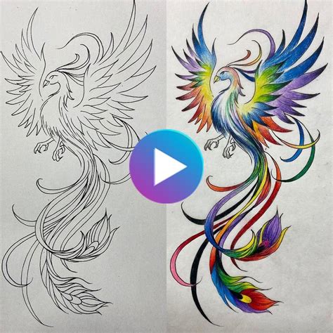 50 Best Flying Phoenix Tattoos Sketch Amp Design With Meanings Phoenix
