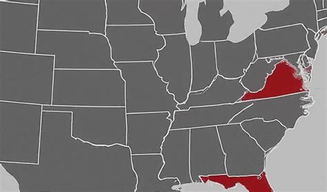 Unlock Secrets of the 569 Area Code