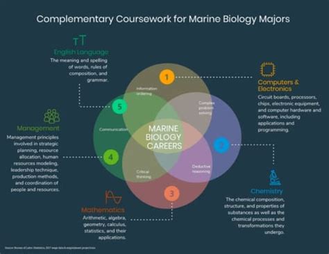 57 Marine Biology Degree Programs In Usa Study Abroad Educations Com