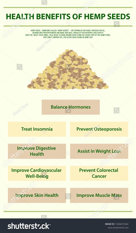 6 Health Benefits Of Hemp Seeds The Hempers