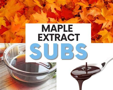 7 Best Maple Extract Substitutes