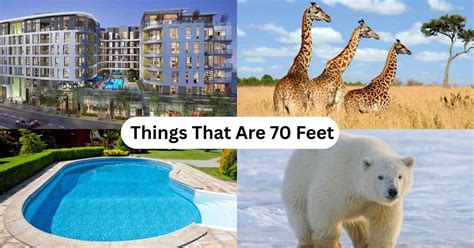 Converting 70 Inches to Feet: Easy Conversion Guide