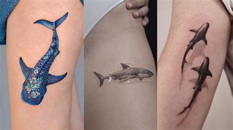 70 Magnificent Shark Tattoos For Men And Women In 2024 70 Magnificent Shark Tattoos For Men And Women In 2024