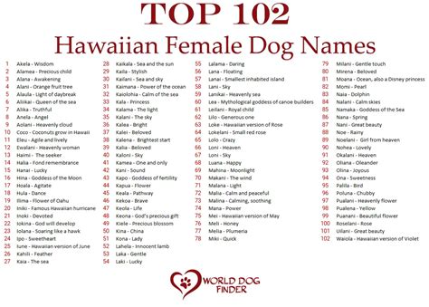 90 Popular Unique Hawaiian Dog Names 90 Popular Unique Hawaiian Dog Names
