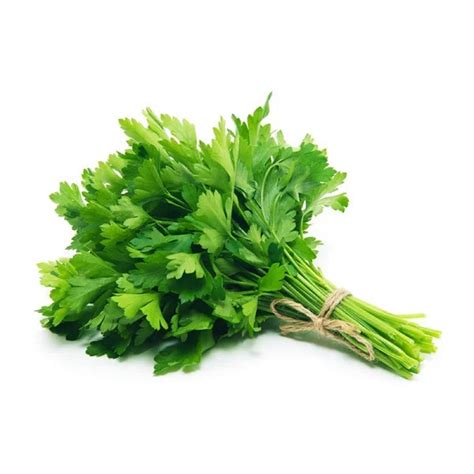 A Bunch Of Cilantro