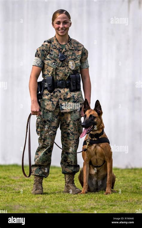 A Dog Handler Of The U S Marine Corps And His Military Working Dog On Patrol Stock Photo Alamy