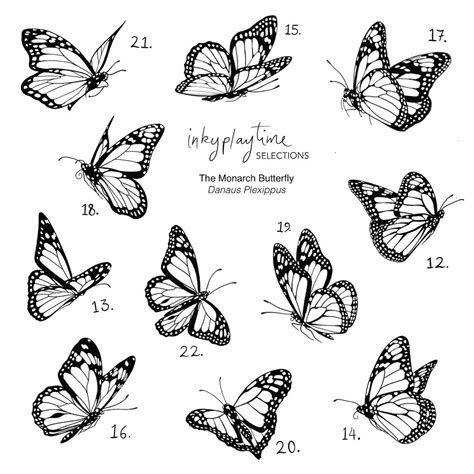 A Flash Tattoo Sheet Containing 11 Different Monarch Butterflies