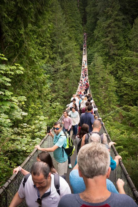 A Naturally Thrilling Experience At Capilano Suspension Bridge Park