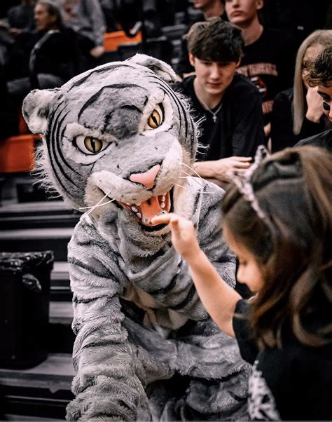 A New Face At Normal West The Paw Print