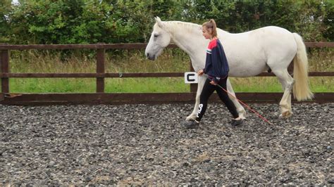 About Us Centred Horseplay