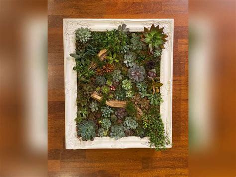 Addison Breland Cypress Woods High School Succulent Wall Hanging