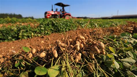 Agriculture And Natural Resources Emanuel County Ga Official Website