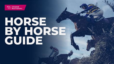 Aintree Grand National 2024 Pinstickers Guide To Saturday S Big Race Irish Independent Aintree Grand National 2024 Pinstickers Guide To Saturday S Big Race Irish Independent