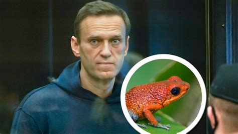 Alexei Navalny Latest News