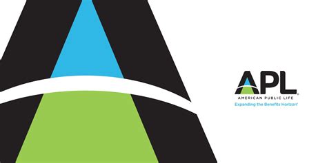 Understanding American Public Life: Trends, Challenges, and Insights