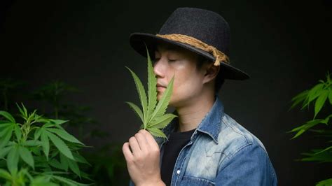 Amp Quot Does Weed Make You Lazy Amp Quot Ask Mr Treetime Episode 1 Youtube