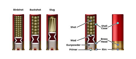 Anatomy Of A Shotgun Shot V 2 Youtube