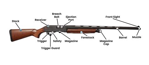 Anatomy Of A Shotgun