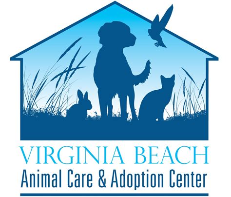 Animal Shelter In Virginia Beach Va Countyinfo