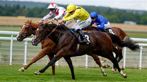 Ante Post Tips Five Horses On Our Radar This Spring