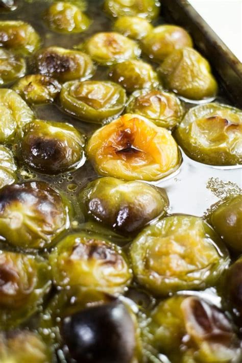 Appetizer Oven Roasted Tomatillos Recipes